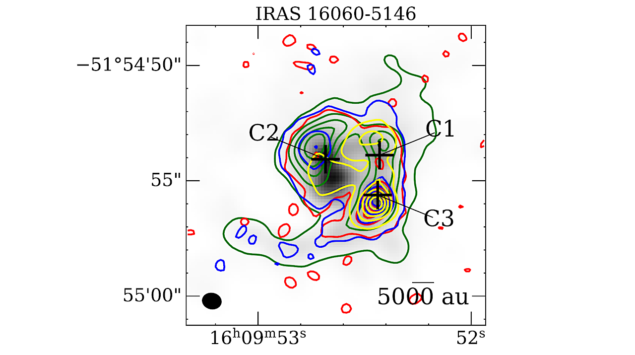 ALMA Observations of CH3COCH3 and the Related Species CH3CHO, CH3OH, and C2H5CN in Line-rich Molecular Cores