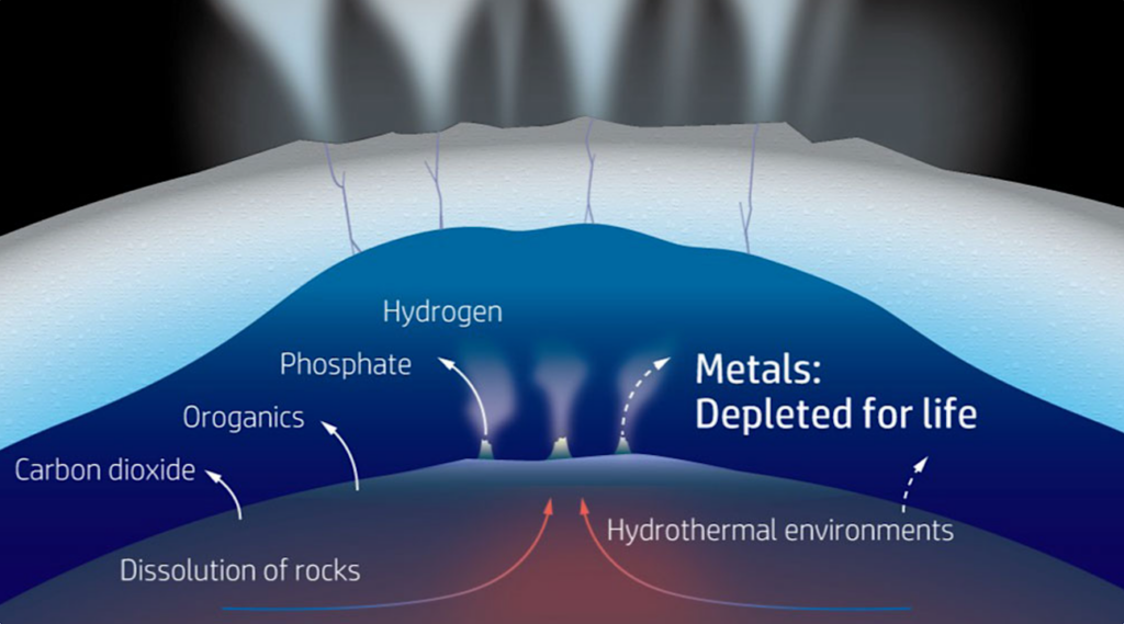 Are Metals Depleted For Life In The Ocean Of Enceladus?