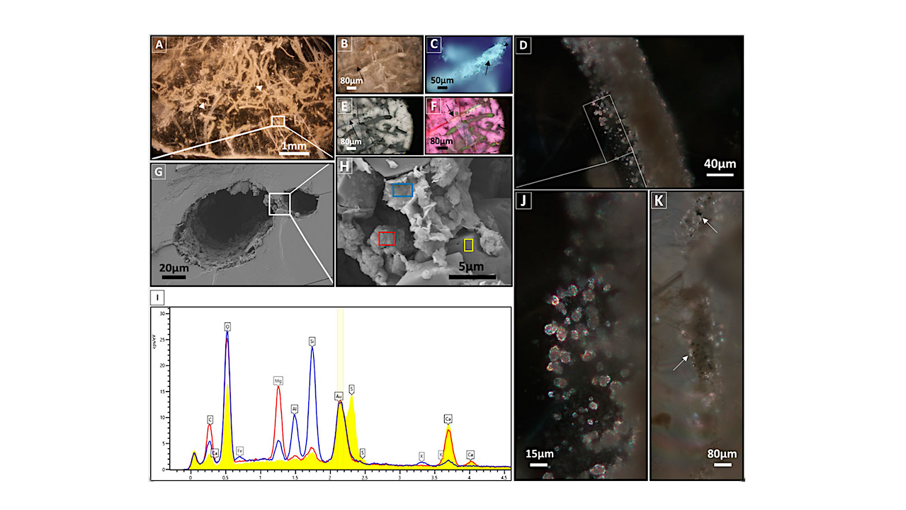 Fossil Microorganisms In Messinian Gypsum: Implications For The Search For Life On Mars