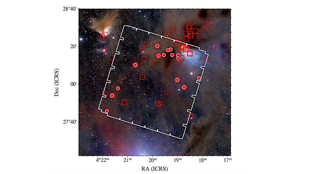 Free-floating Planetary Mass Objects In LDN 1495 From Euclid Early Release Observations