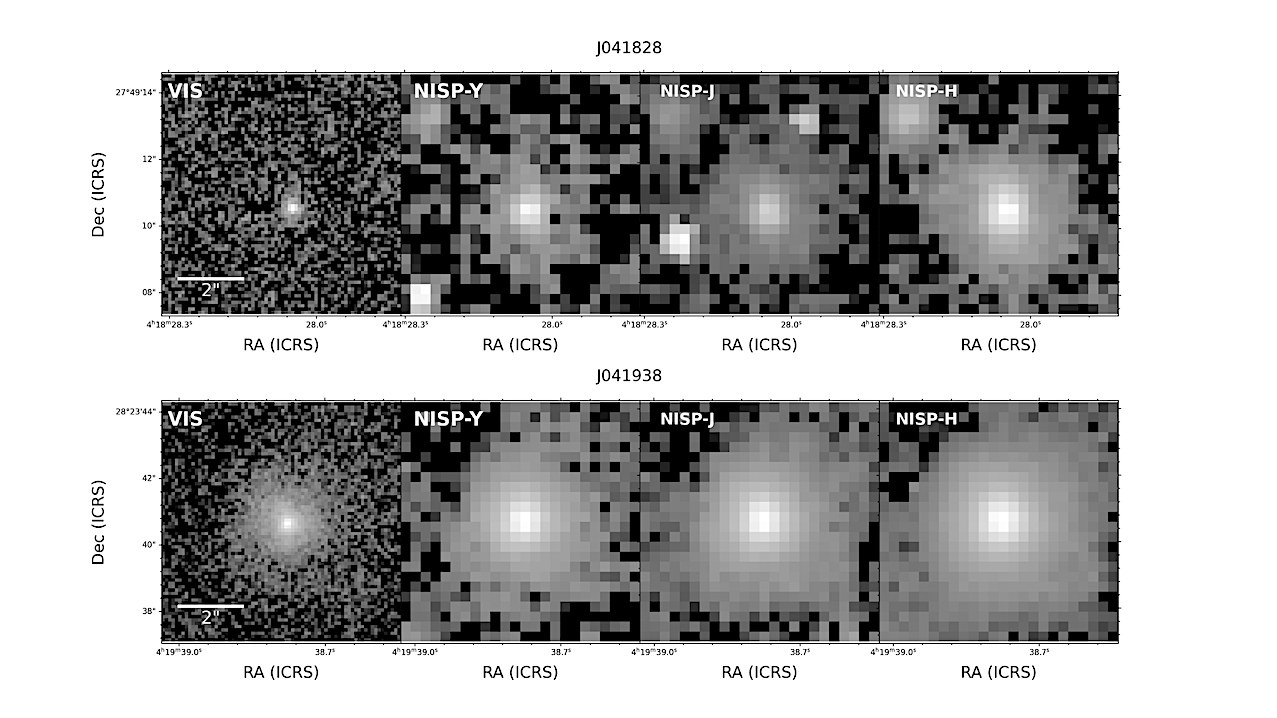 Free-floating Planetary Mass Objects In LDN 1495 From Euclid Early Release Observations