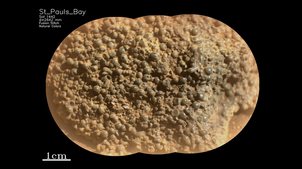 Mars Perseverance Examines A Rock With Hundreds Of Millimeter-sized Spheres