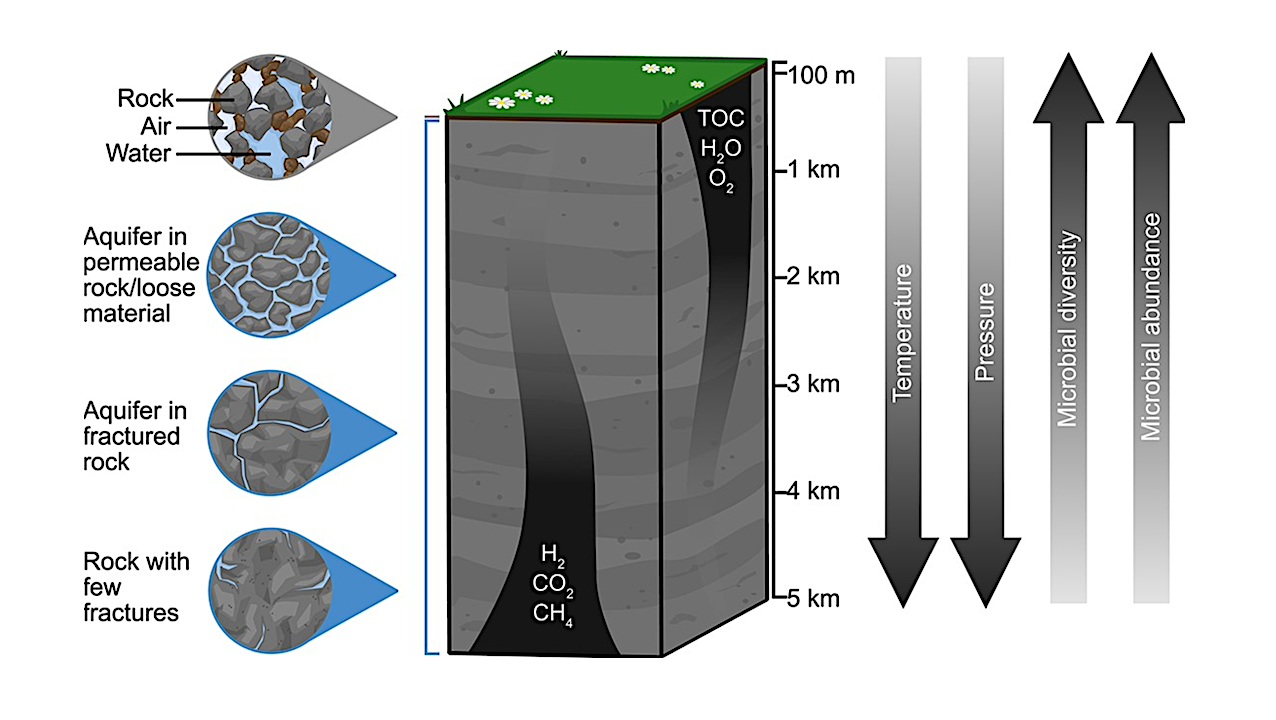 Microbial Ecology Of The Deep Terrestrial Subsurface