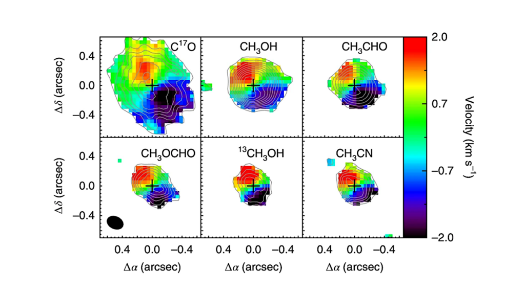 Observations Of Complex Organic Molecules In The Gas Phase Of The Interstellar Medium