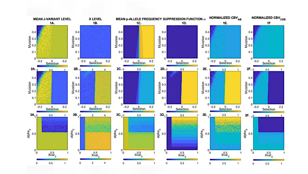 Persistence Selection Between Simulated Biogeochemical Cycle Variants For Their Distinct Effects On The Earth System