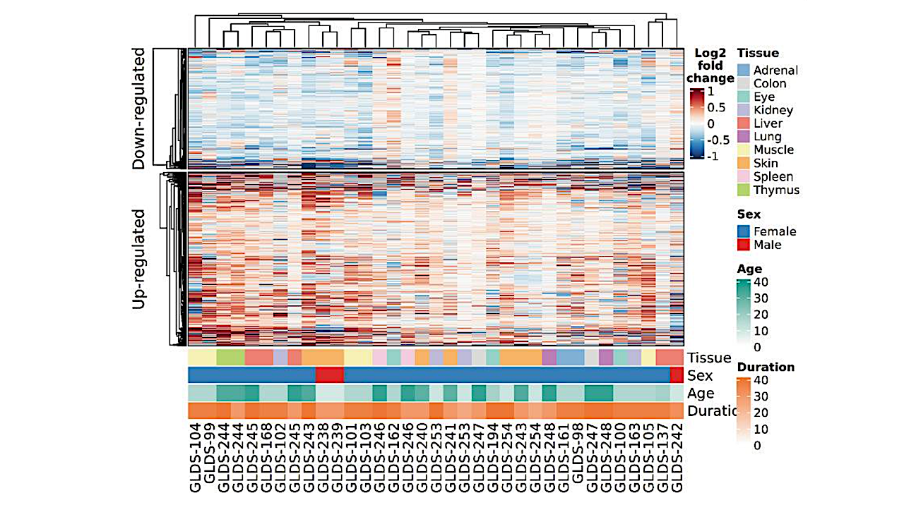 Sequencing The Inspiration 4 Crew’s Genomic Responses To Spaceflight