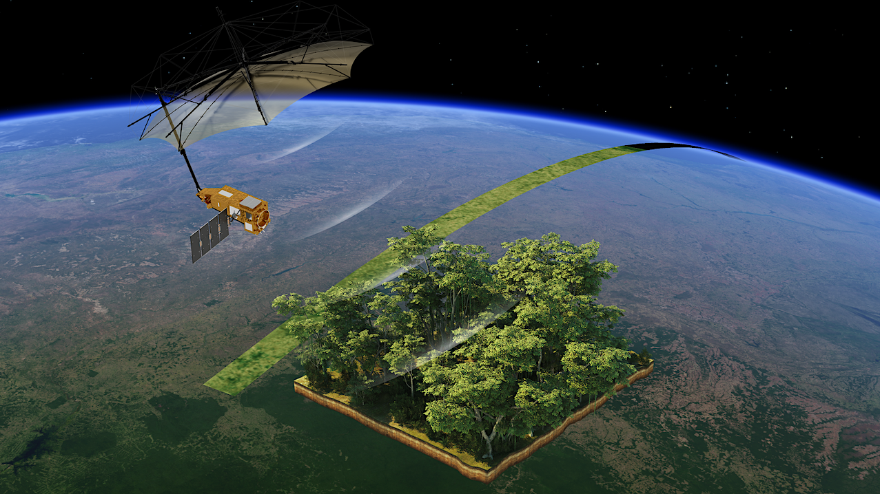 Biomass Mission: Weighing A Living Planet’s Forests
