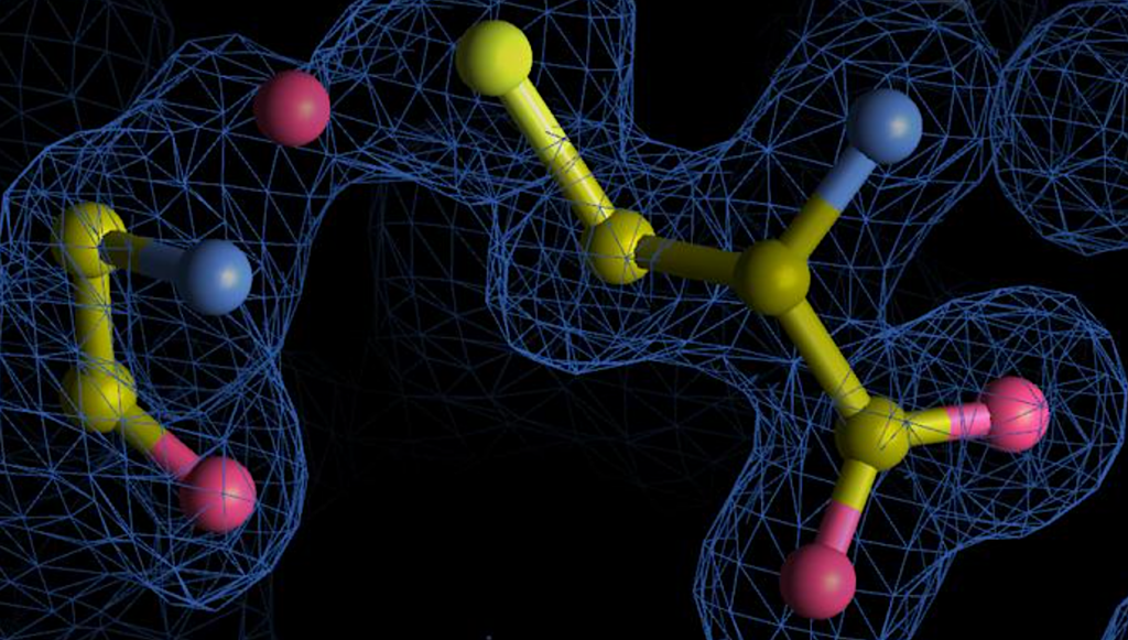 A New Complexity In Protein Chemistry