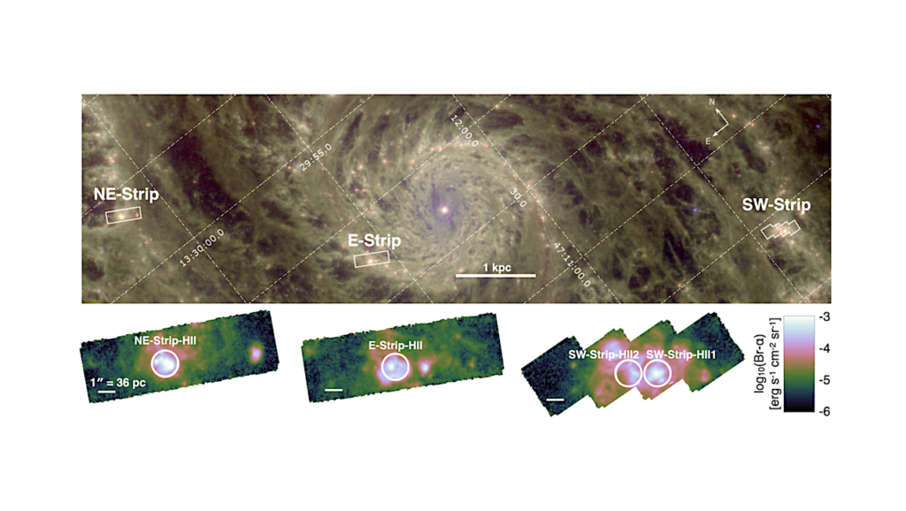 Detection of Deuterated Hydrocarbon Nanoparticles in the Whirlpool Galaxy, M51