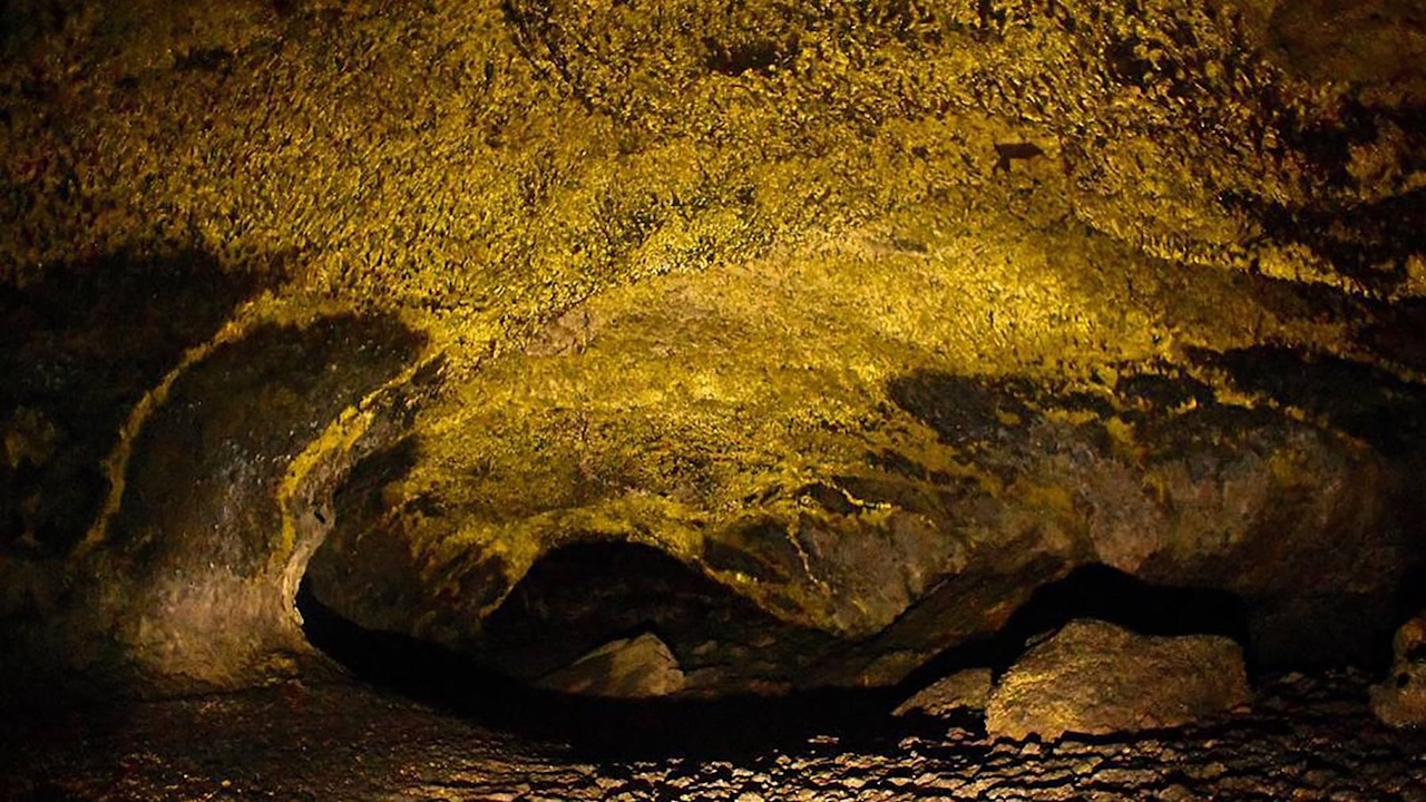 Draft Genome Sequence Of A Member Of A Putatively Novel Rubrobacteraceae Genus From Lava Tubes In Lava Beds National Monument