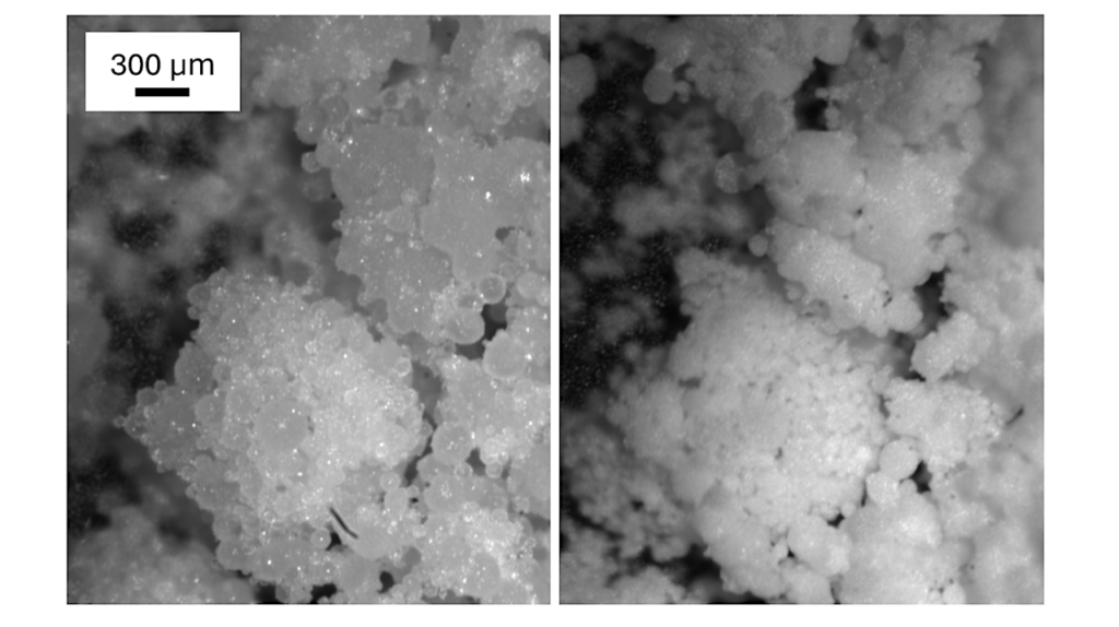 Evolution Of Granular Salty Ice Analogs For Europa: Sublimation And Irradiation