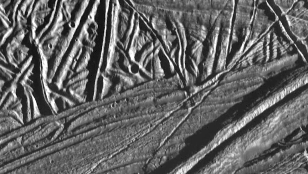 Fluorescent Biomolecules Detectable in Near-Surface Ice on Europa