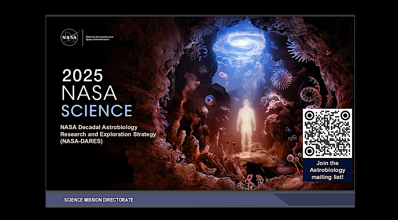 2025 NASA Decadal Astrobiology Research and Exploration Strategy (NASA-DARES) Task Force 1 Selections