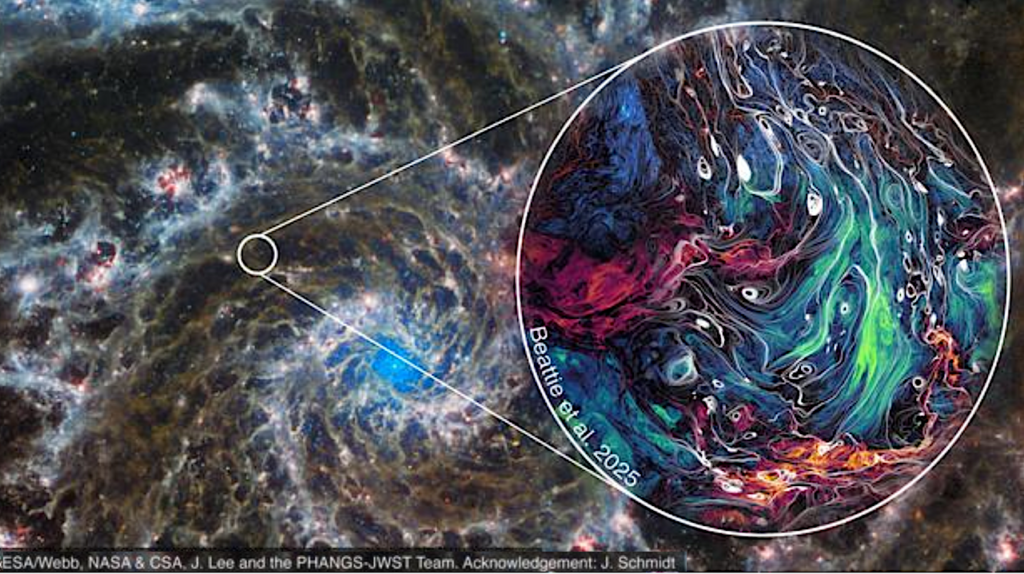 Simulating Turbulence In A Galaxy