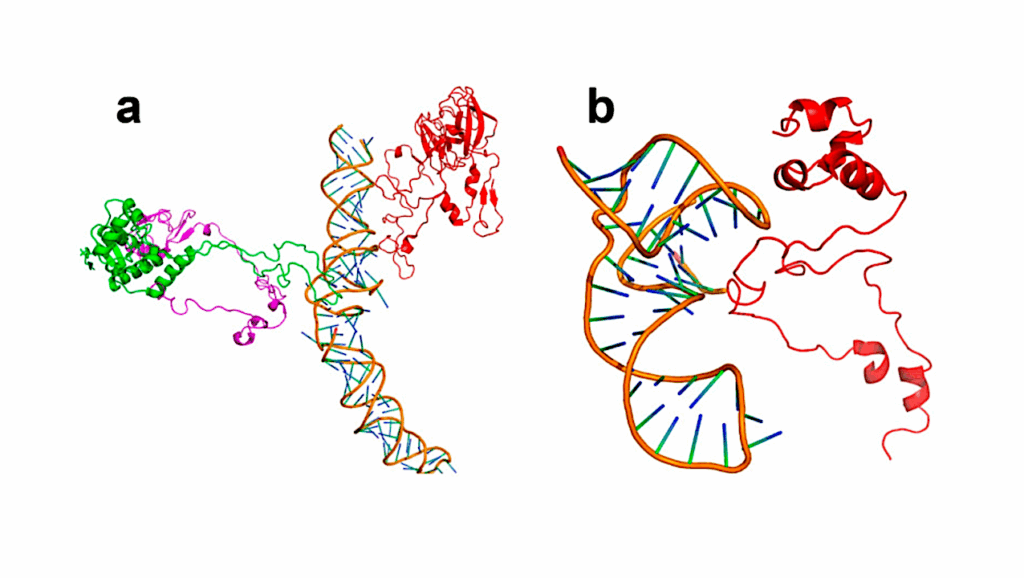 Autocatalytic Selection As A Driver For The Origin Of Life