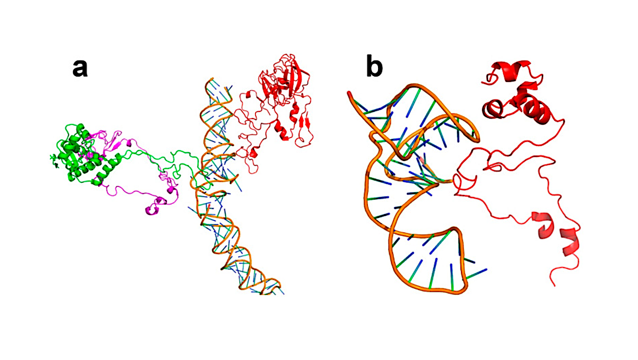 Autocatalytic Selection As A Driver For The Origin Of Life