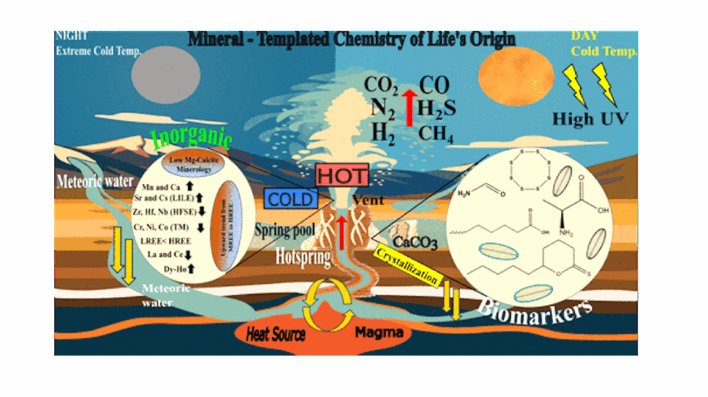 Calcium Carbonate As A Potential Template for the Origin of Life