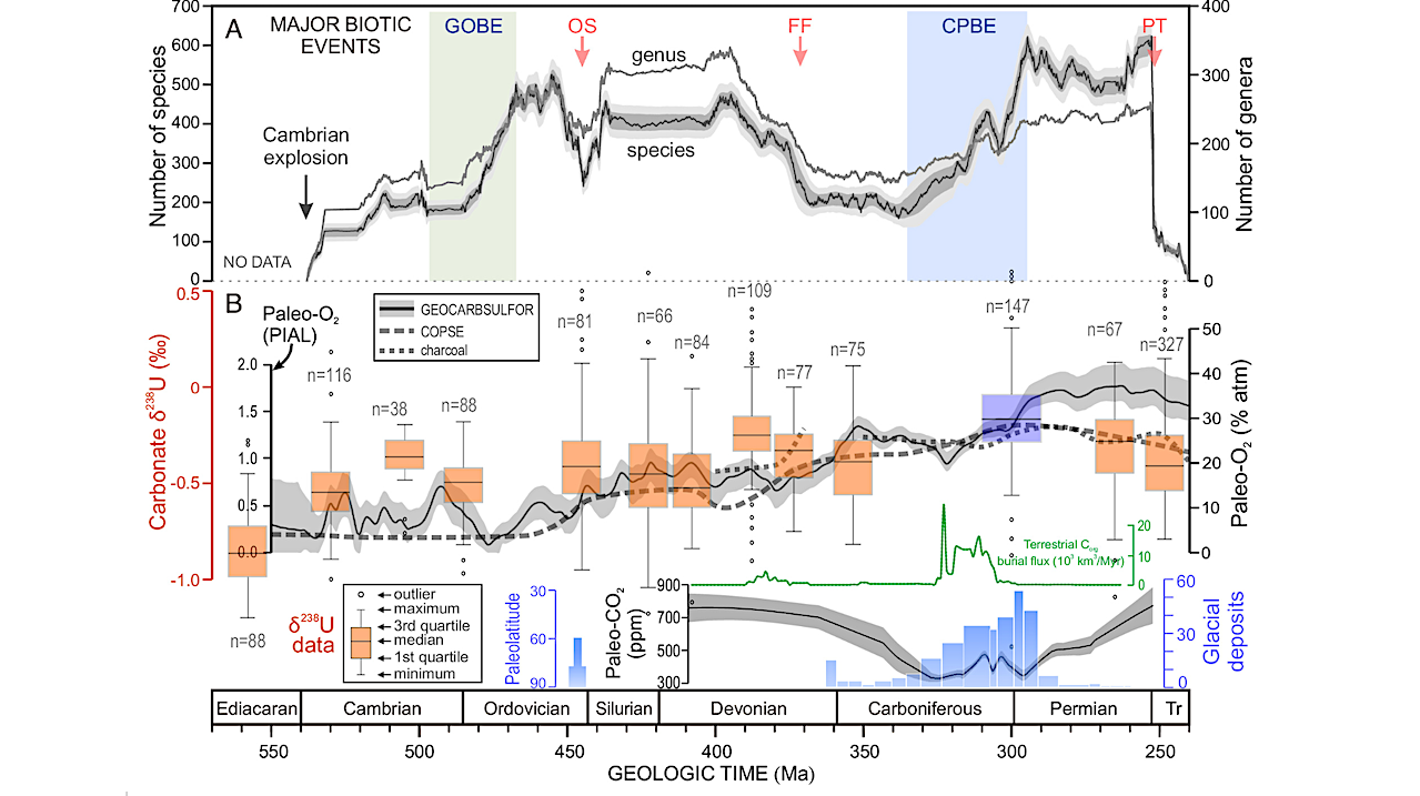 Massive Burps Of Carbon Dioxide Led To Oxygen-less Ocean Environments In The Deep Past