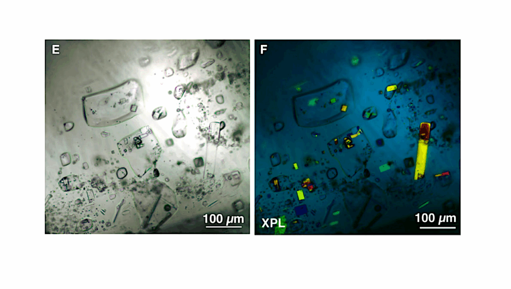 Micron-scale Crystals In Halite Are Proxies For Permian Acid Brines