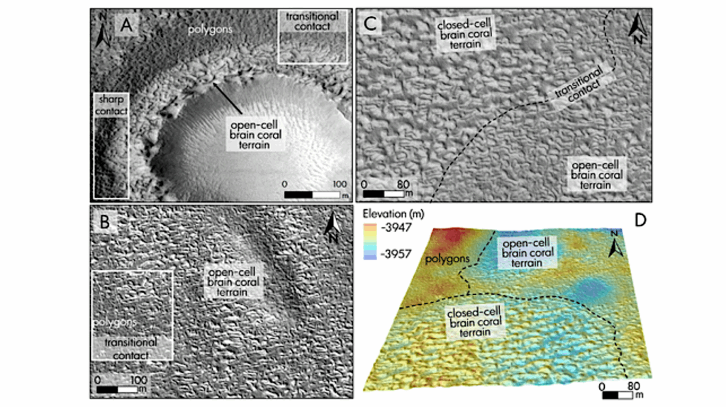 Near-surface Water Ice On Mars