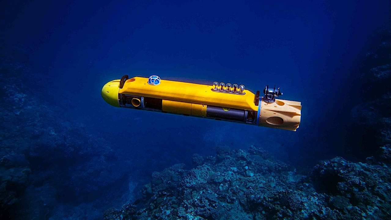 Ocean Planet Expedition: Robots Map Unexplored Depths