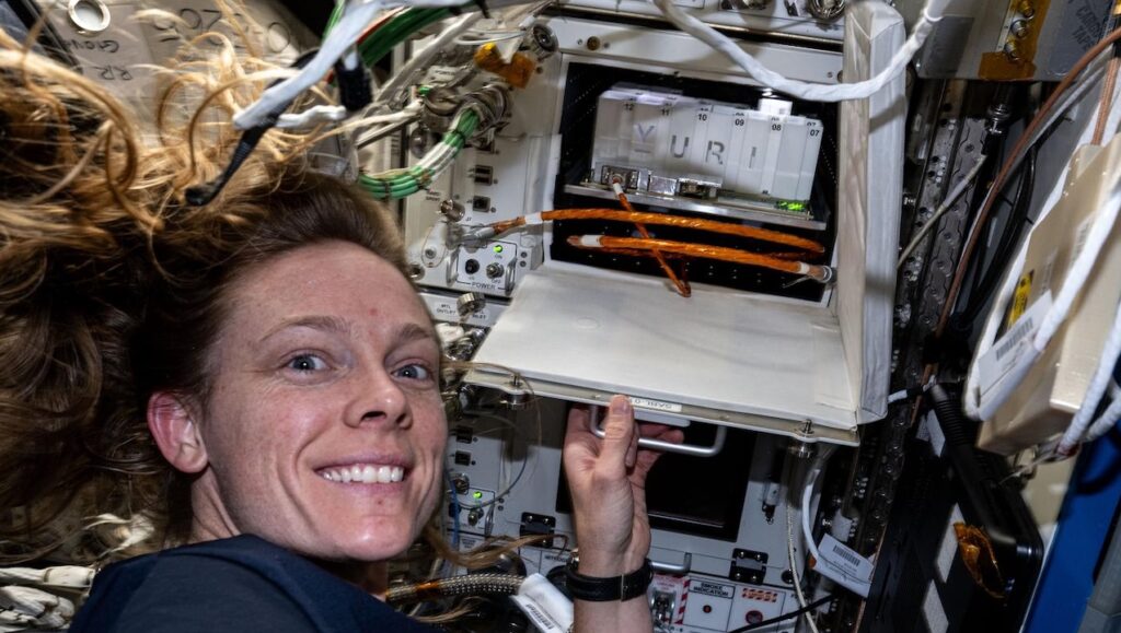 Offworld Biotech: Growing Microalgae In Microgravity