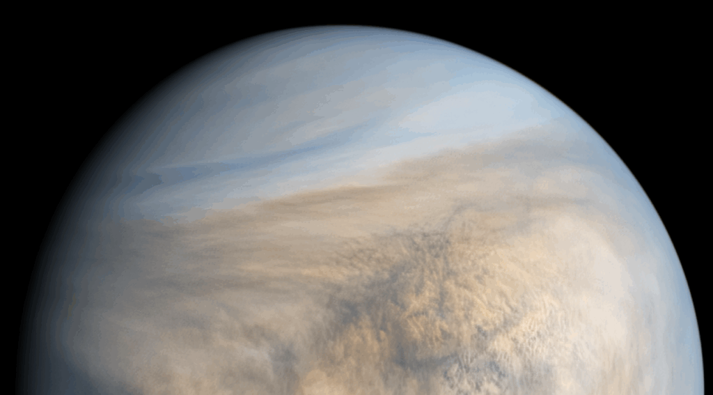 Perspective: Life On Venus?