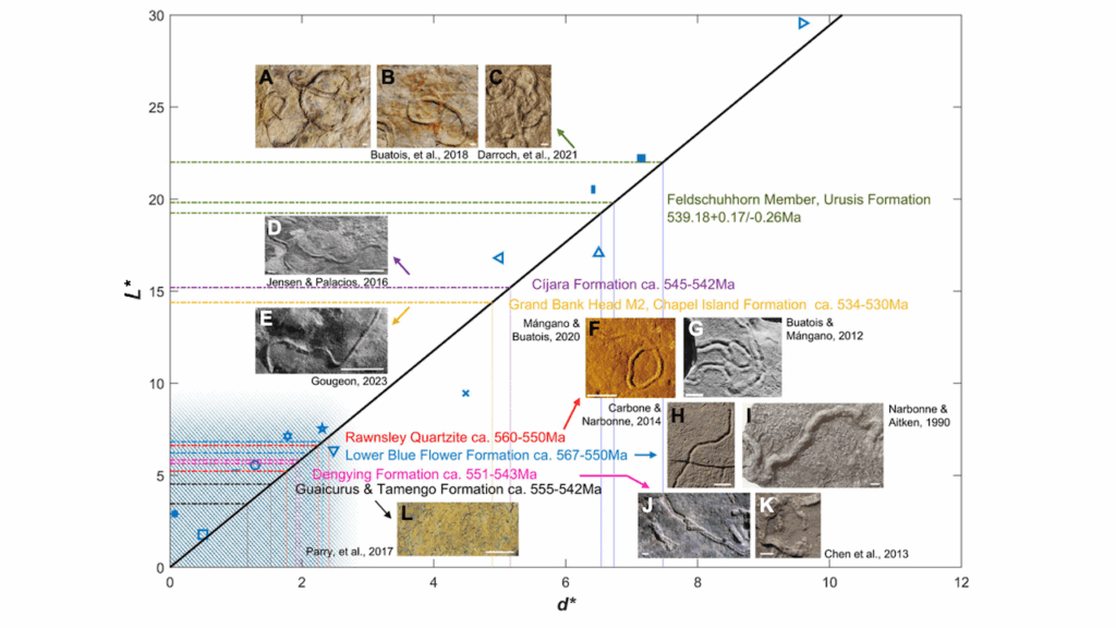 The Cambrian Explosion May Have Occurred Much Earlier Than Previously Thought