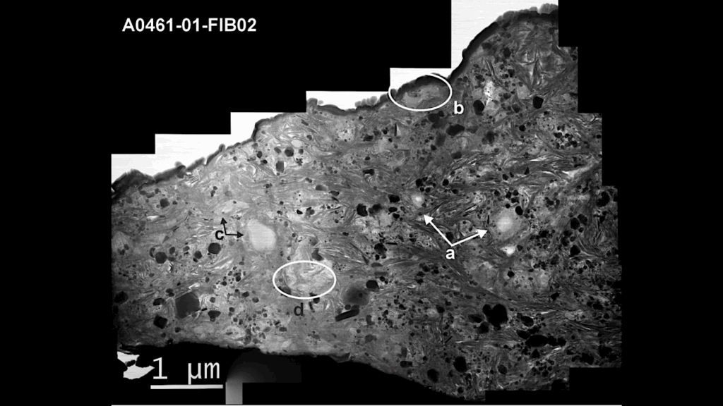 The Nanoscale Molecular Chemistry Of Outer Solar System Organic Matter In Asteroid Ryugu