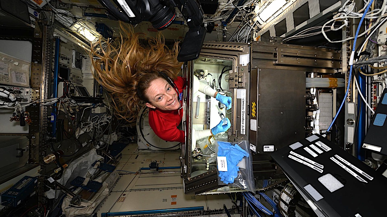 Using An Offworld Life Science Glovebox