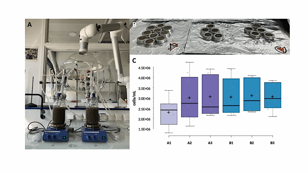 A Two-week Journey To Mars: Investigating Changes In Thiophene-bearing Quinones Of The Extremely Thermoacidophilic Archaeon Acidianus manzaensis