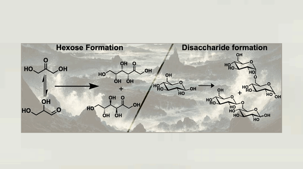 Abiotic Formation Of Hexoses And Disaccharides In Aqueous Microdroplets