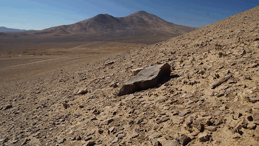 Idiomarina aminovorans sp. nov., A Halophilic Bacterium Isolated From The Llamara Salt Pan In The Atacama Desert Of Northern Chile