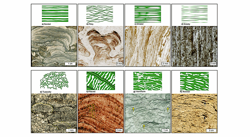 Laminae As Potential Biosignatures