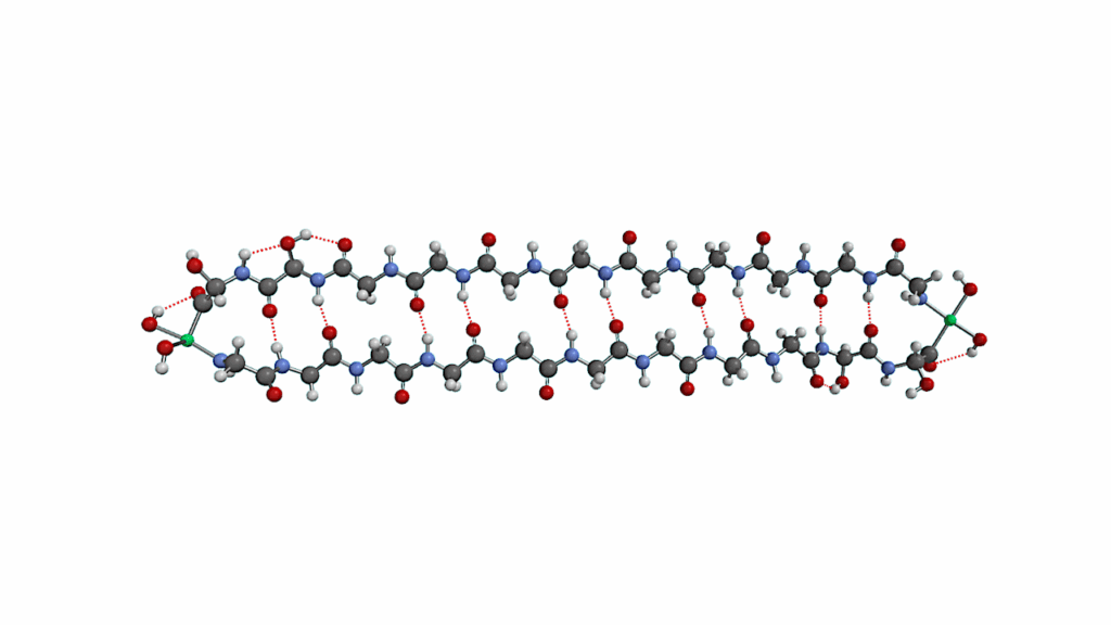 Space-filling Efficiency And Optical Properties Of Hemoglycin