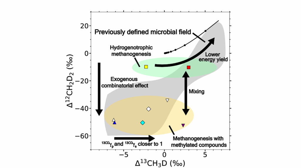 The Clumped Isotope Signatures of Multiple Methanogenic Metabolisms
