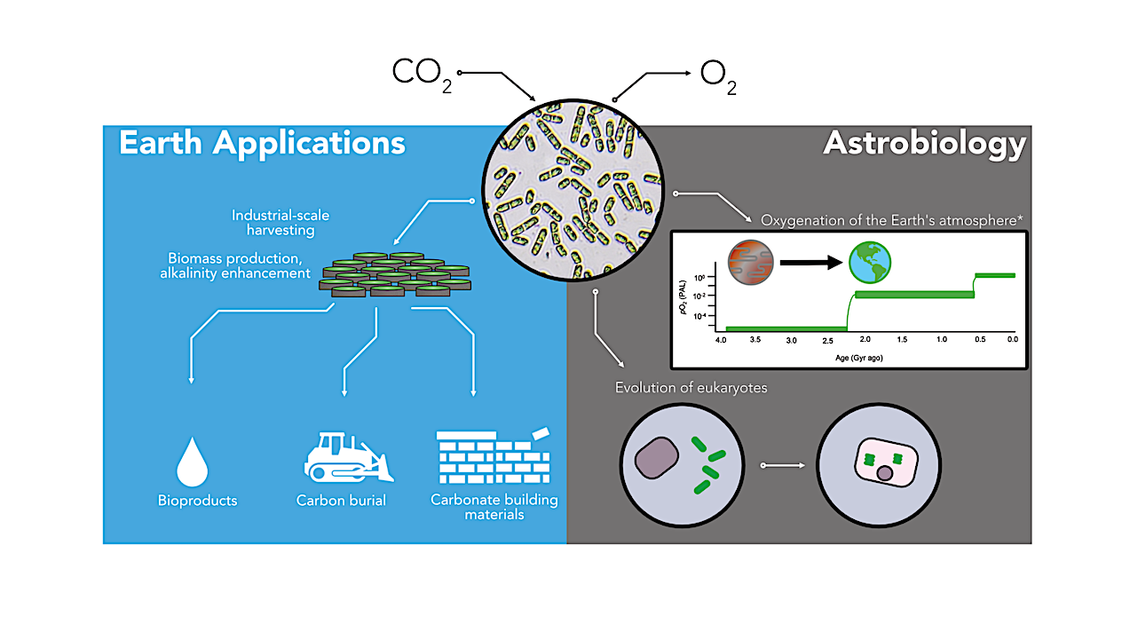 A Search for Life In The Universe Advances Life on Earth