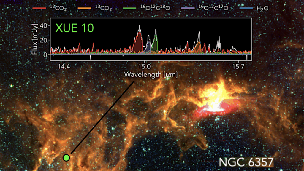 An Unusual Carbon dioxide-rich Disk Detected Around A Young Star Challenges Planet Formation Models