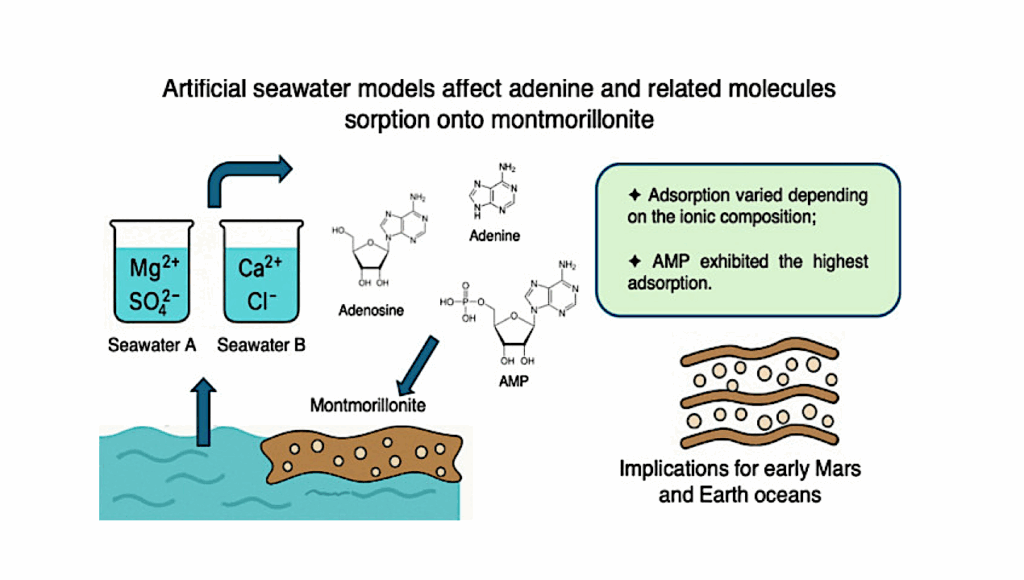 Artificial Seawater Models Affect Sorption of Adenine and Related Molecules Sorption onto Montmorillonite: Implications for Early Mars and Earth Oceans