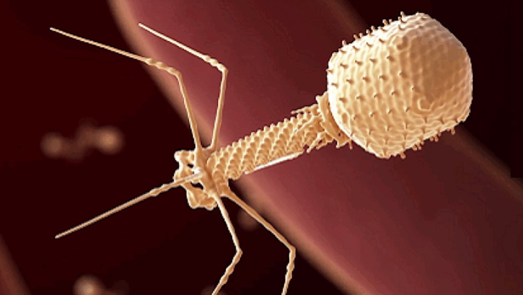 Astrovirology, Astrobiology, Artificial Intelligence: Extra-Solar System Investigations