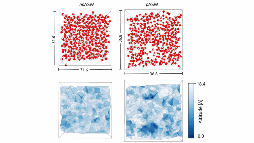 CO Adsorption Sites On Interstellar Water Ices Explored with Machine Learning Potentials. Binding Energy Distributions And Snowline