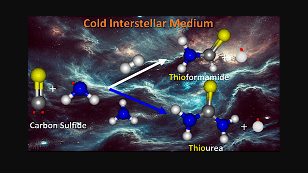 Computational Prediction For The Formation Of Amides And Thioamides In The Gas Phase Interstellar Medium