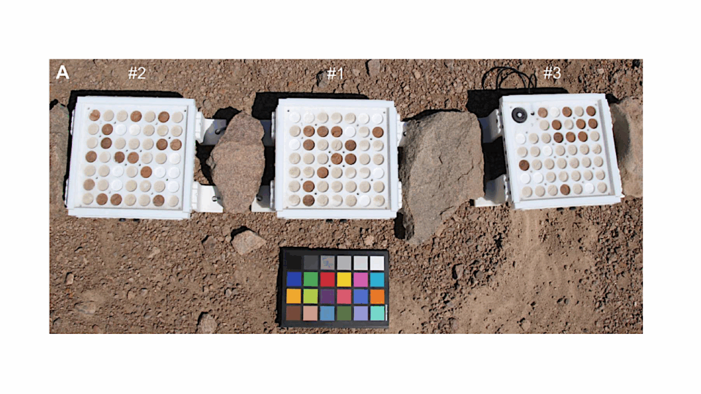 Exploring Organic Compound Preservation Through Long-term In Situ Experiments In The Atacama Desert And The Relevance For Mars