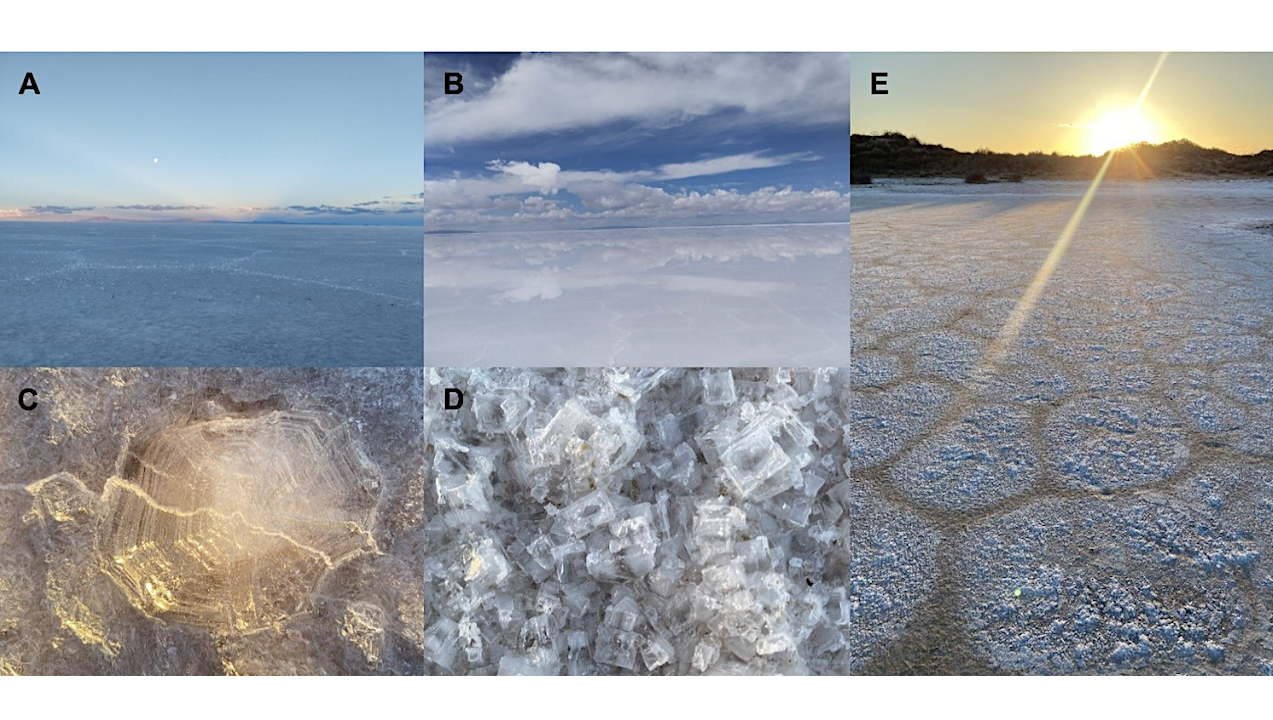 Extreme Environments Of Latin America: Natural Laboratories For Astrobiology