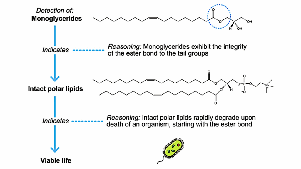 Intact Polar Lipids As Organic Biomarkers Of Viable Extraterrestrial Life