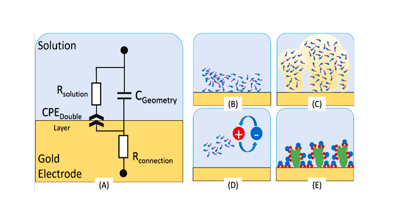 Mitigation And Use Of Biofilms In Space For The Benefit Of Human Space Exploration