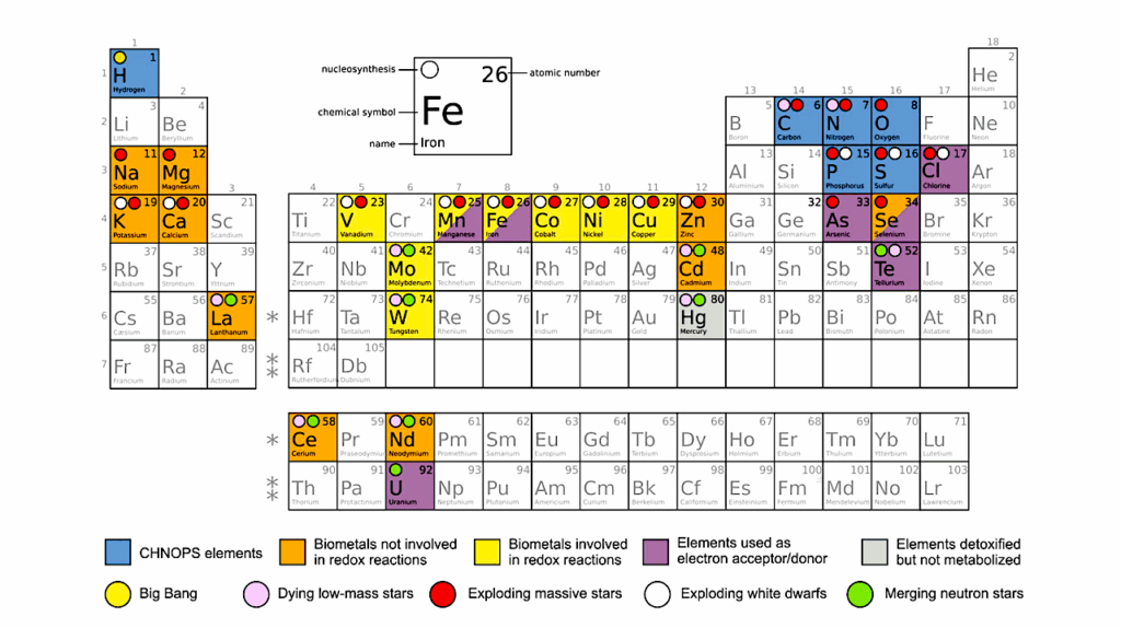 Stellar Metallicity Is A Key Parameter For The Search Of Life In The Universe