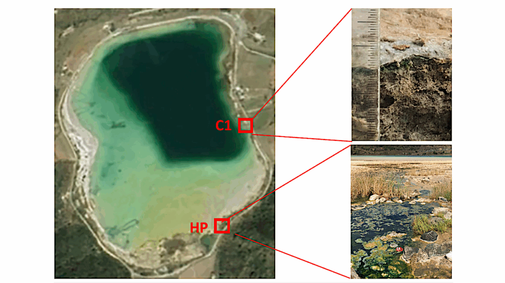 The “Bagno dell’Acqua” Lake as a Novel Mars-like Analogue: Prebiotic Syntheses of PNA and RNA Building Blocks and Oligomers