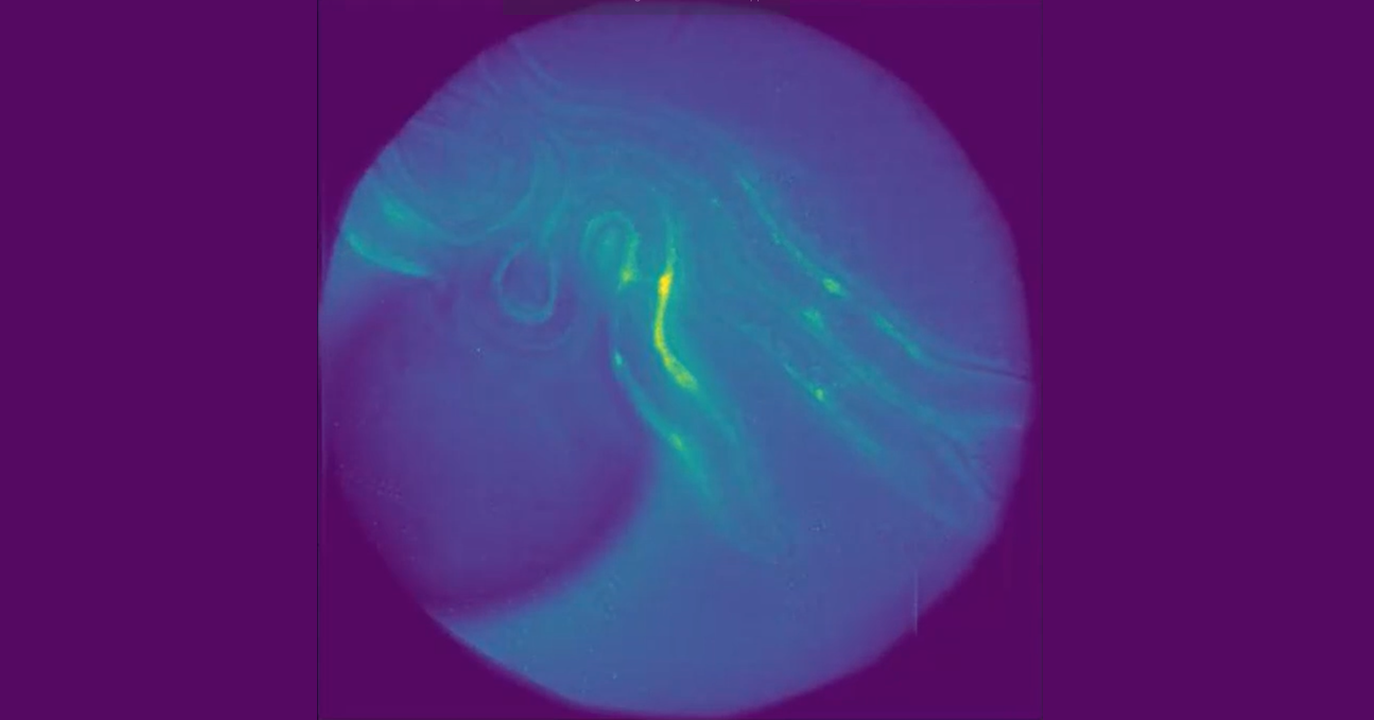 Tricorder Tech: Multifocus Microscope Pushes The Limits Of Fast Live 3D Biological Imaging