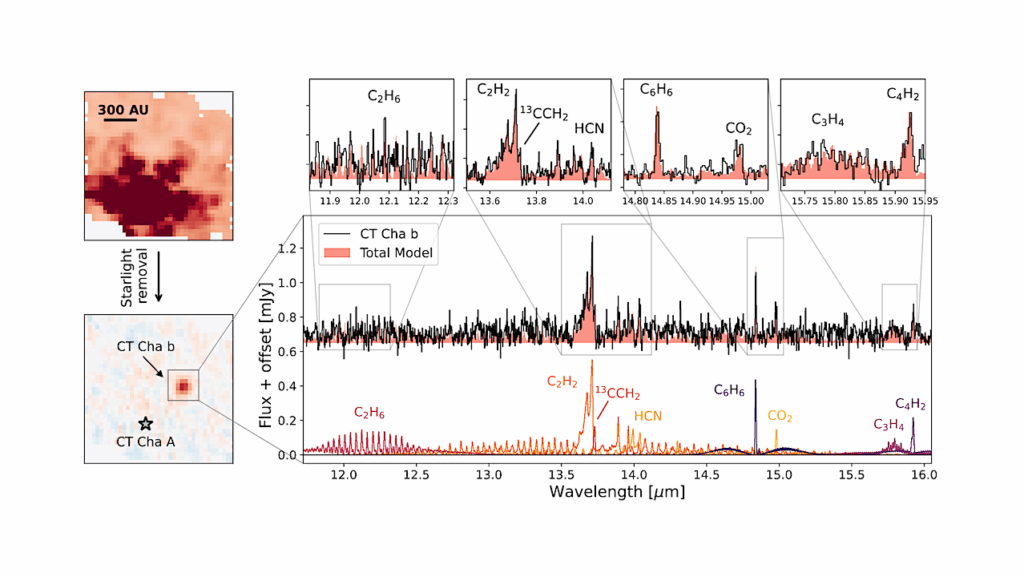 A Carbon-rich Disk Surrounding A Planetary-mass Companion